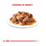 Ageing in Gravy royal canin cat