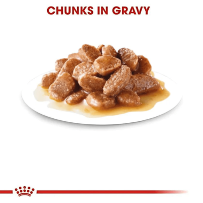 Urinary Care Gravy royal canin