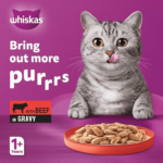 Whiskas Beef In Gravy